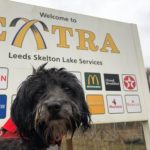 Dogs at Extra Motorway Service Areas